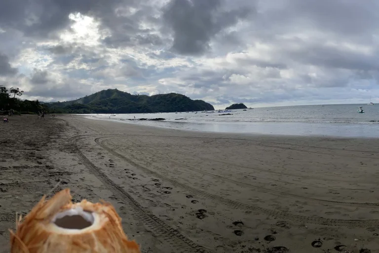 From Beaches to Rainforests: Feel the Spirit of Pura Vida in Costa Rica