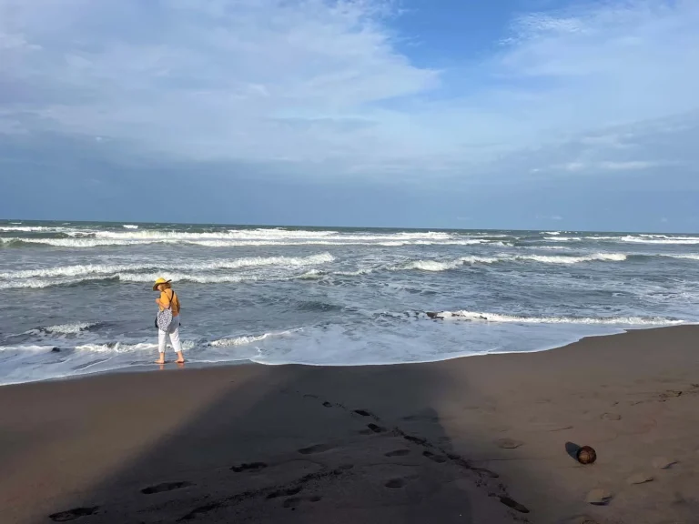 Sea Turtles & Serenity: Why Tortuguero Should Be on Your Bucket List