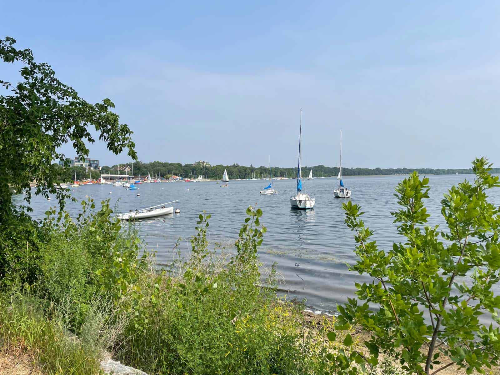 Sailboats on the lake