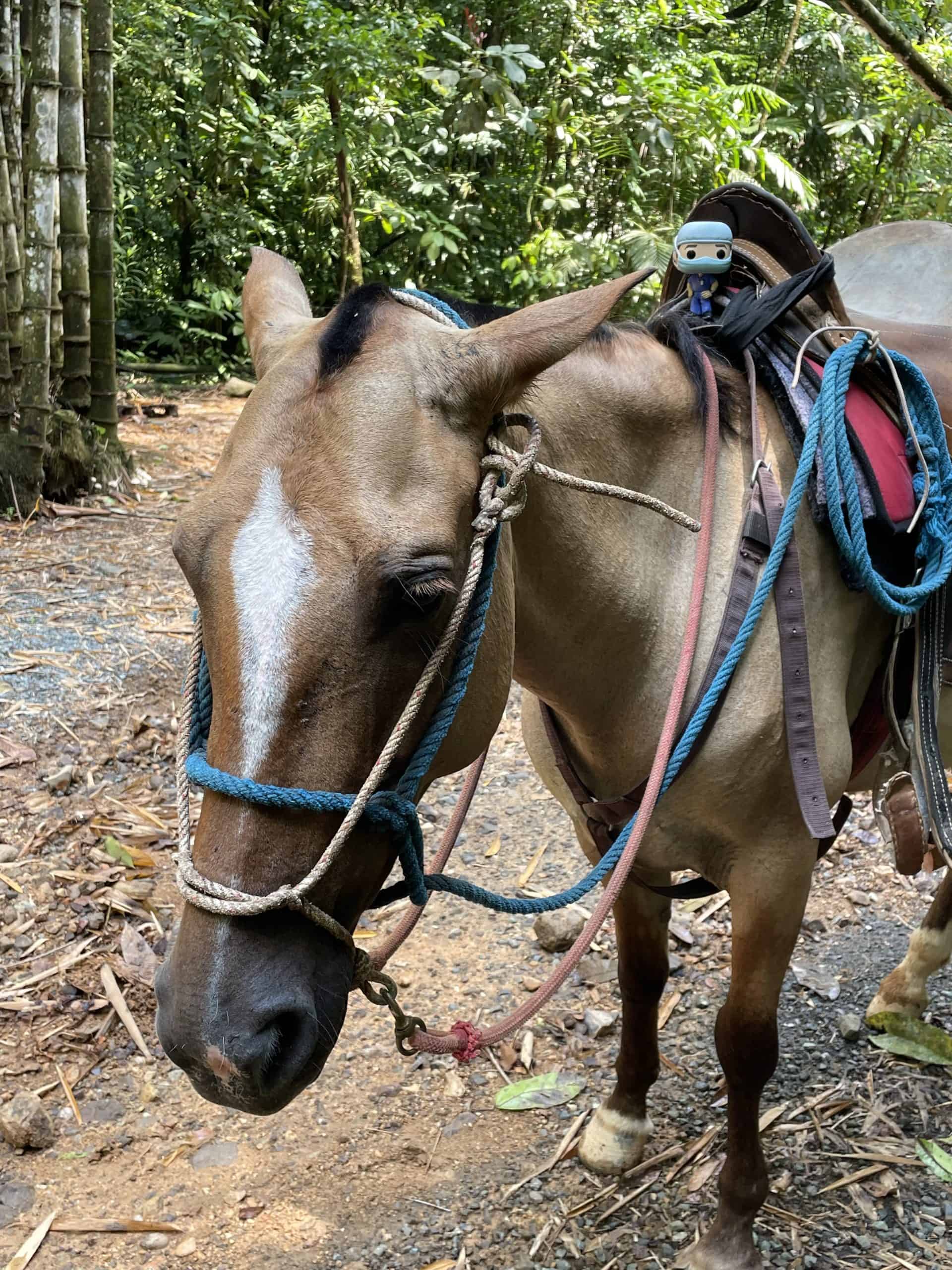 Meet beautiful Crystal