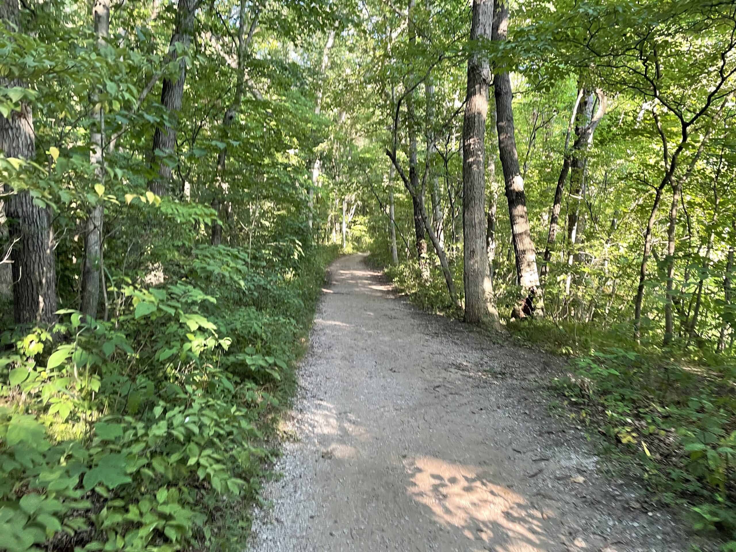 Trail at Indiana Dunes State Park