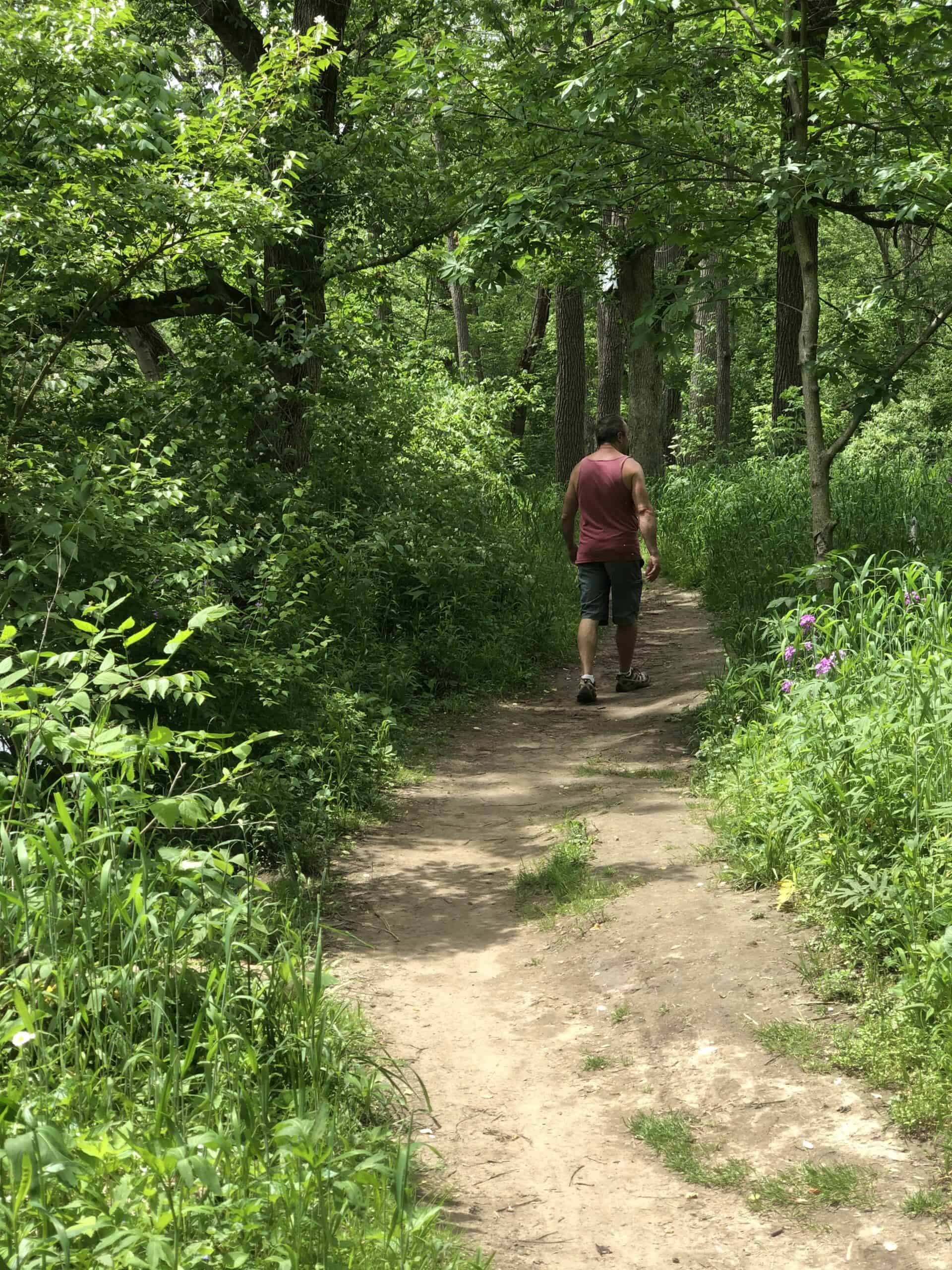 A trail at Mounds State Park