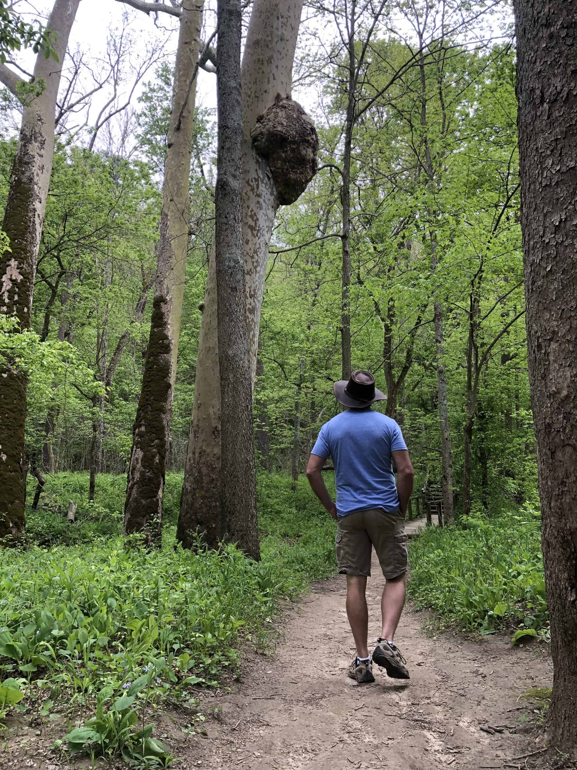 Hiking trail at Turkey Run State Park