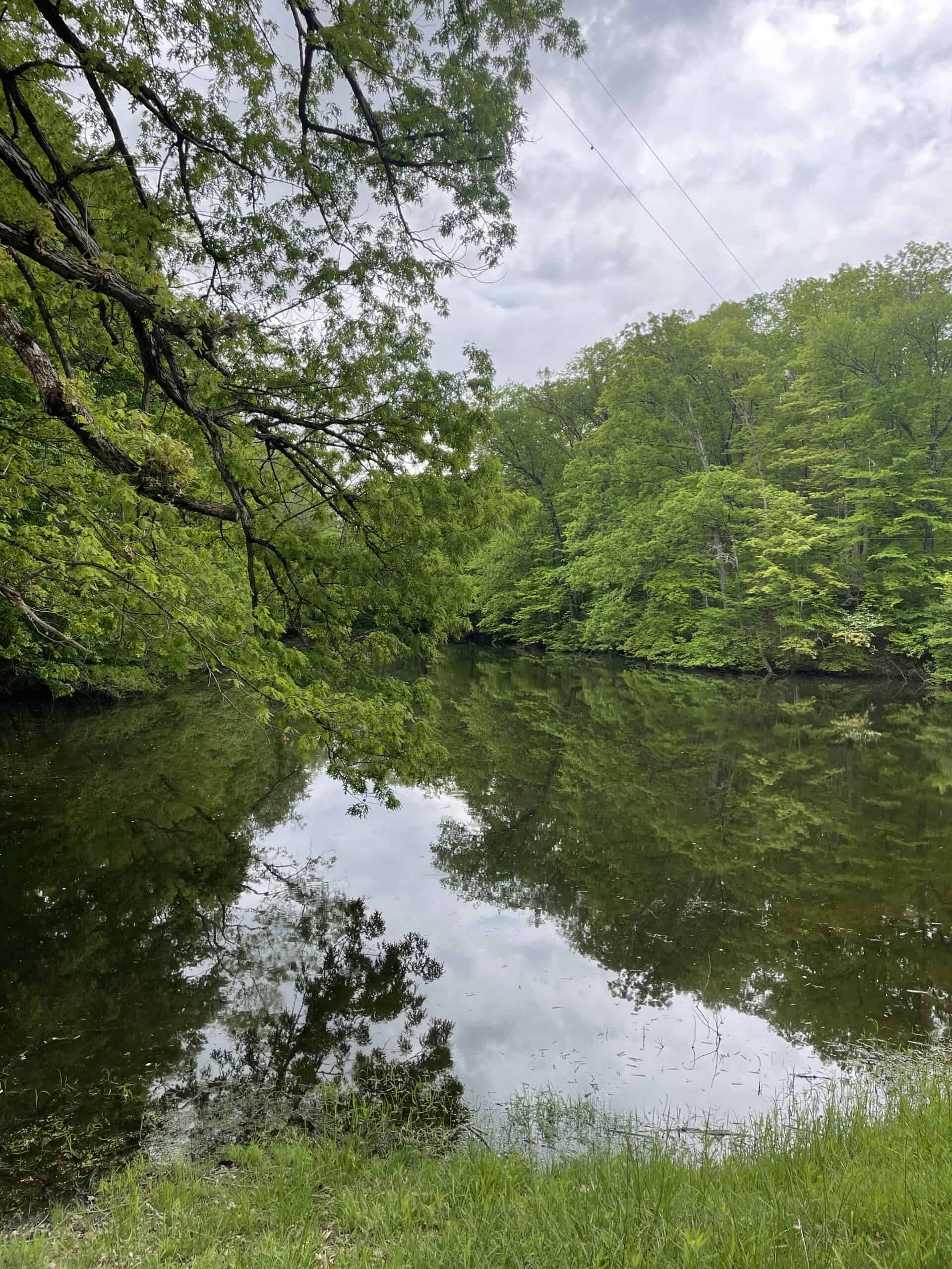 Sugar Creek | Shades State Park